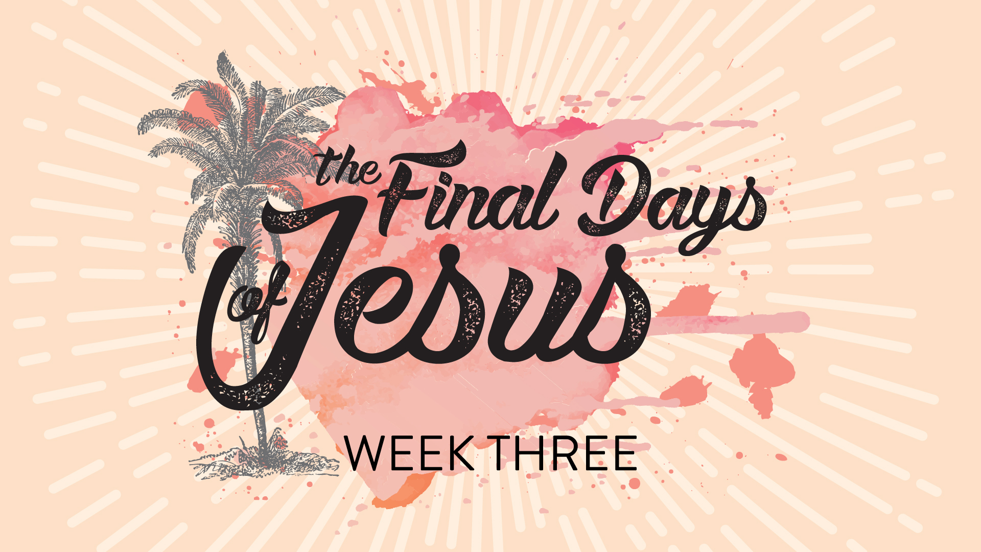 Week Three - The Anointing